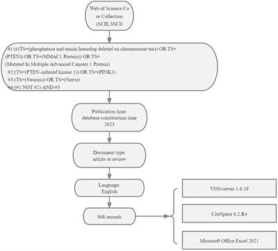 Bibliometric analysis of PTEN in neurodevelopment and neurodegeneration